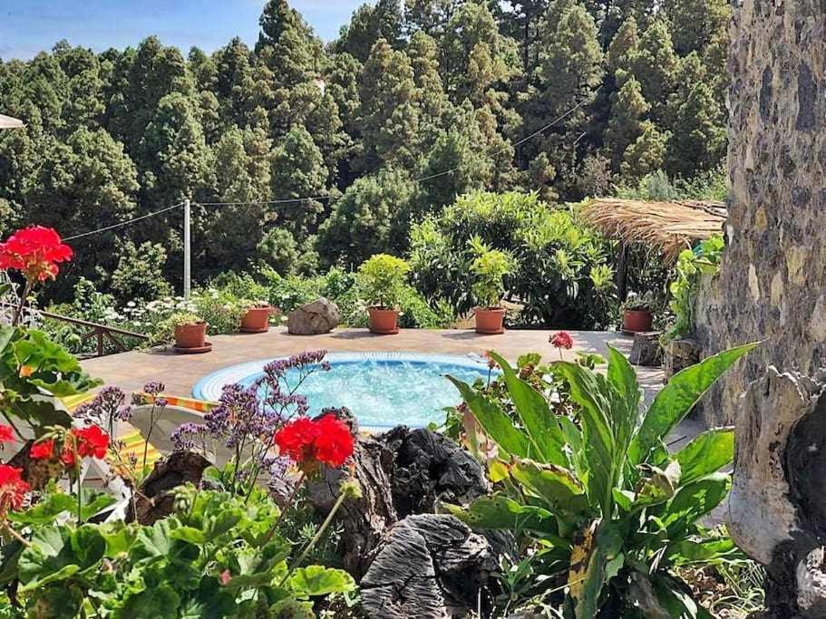 Finca Los Tamarillos Santa Cruz de Tenerife Eksteriør bilde